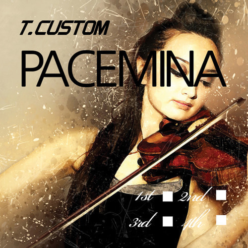 파체미나(Pachemina) 바이올린 현세트